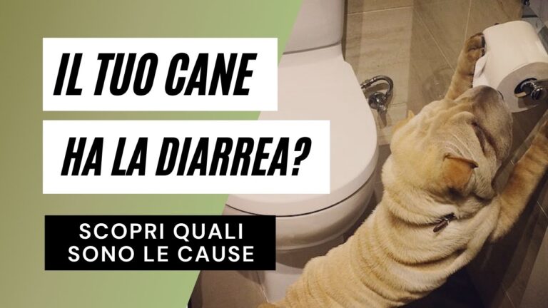 Gestire la Diarrea Improvvisa: Cause e Rimedi Efficaci