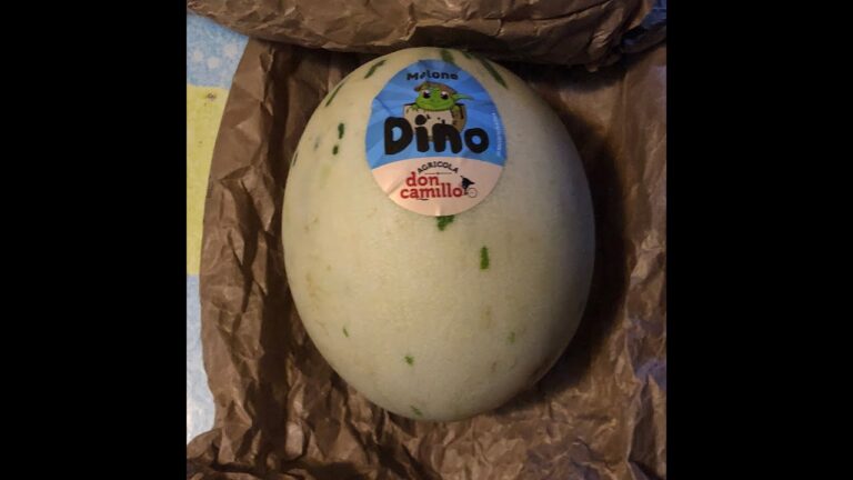 Origine del Melone Dino: Storia e Caratteristiche