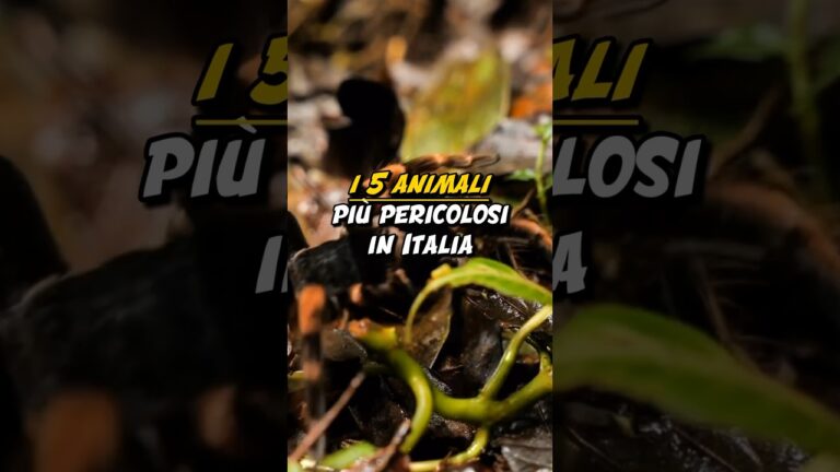 I predatori più temuti d’Italia