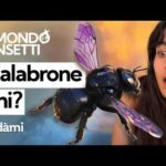 Progynova: scopri il prezzo conveniente per un benessere femminile completo!