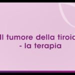 Calorie delle Carote Cotte: Un’Analisi Nutriente