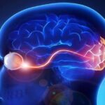 Guida al Progetto Ponteggio: Ottimizzazione e Concisione