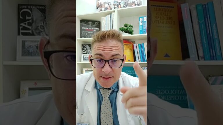 Gestione della Creatinina e Urea Alta: Cause e Soluzioni