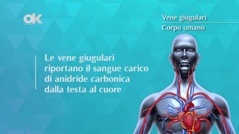 Comprendere la Pulsazione della Vena del Collo