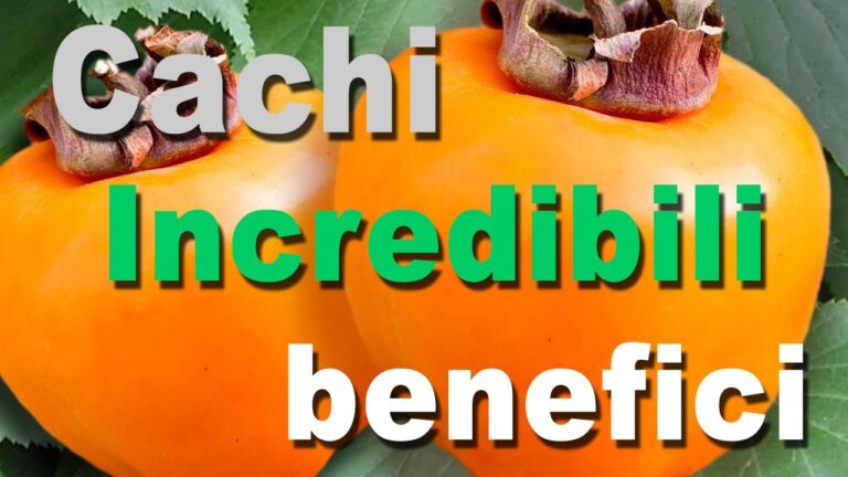 Cachi e Colesterolo: Benefici e Proprietà Nutrizionali