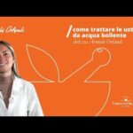 Polpette di Sarde al Forno: Ricetta Semplice e Gustosa