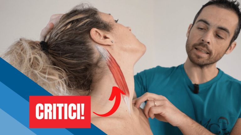 Rafforza i Due Muscoli del Collo per una Postura Migliore