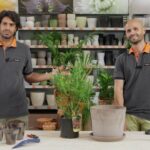Ossigeno 20 volumi: la sorprendente capacit&agrave; di schiarimento in soli 70 caratteri!