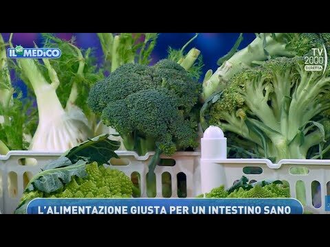 ProCombo Probiotici: La Soluzione Ideale per il Benessere Intestinale