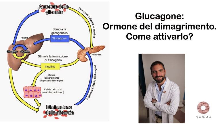 Glucagone: Un Alleato per Perdere Peso