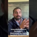 Modello C2 Storico Online: Guida per i Residenti del Lazio